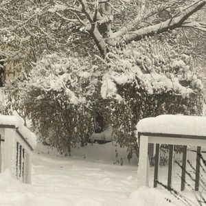 Meet your Posher, Kevin